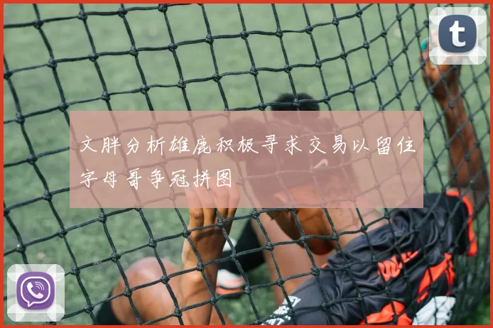 文胖分析雄鹿积极寻求交易以留住字母哥争冠拼图