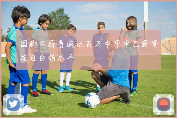 国脚年薪普遍达百万中甲中乙薪资接近白领水平