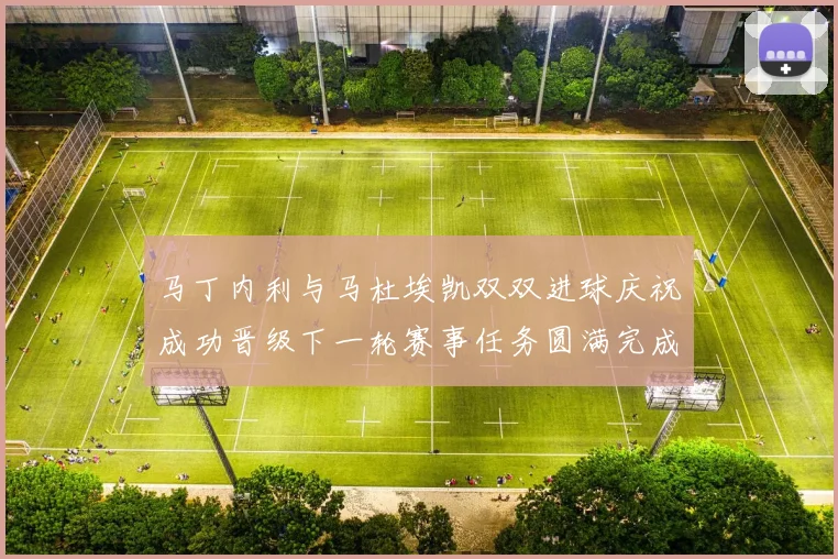 马丁内利与马杜埃凯双双进球庆祝成功晋级下一轮赛事任务圆满完成
