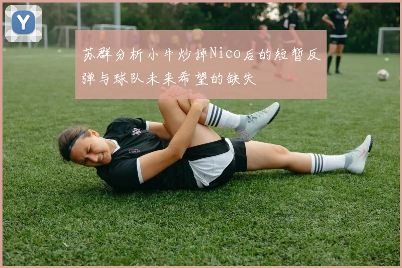 苏群分析小牛炒掉Nico后的短暂反弹与球队未来希望的缺失