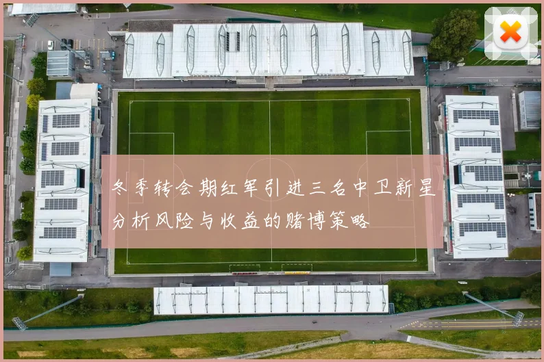 冬季转会期红军引进三名中卫新星分析风险与收益的赌博策略