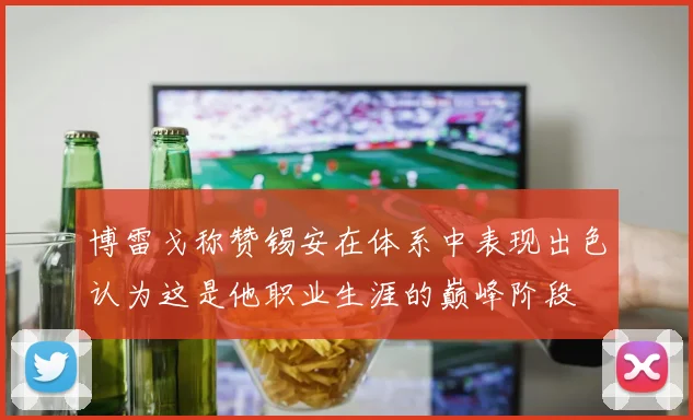 博雷戈称赞锡安在体系中表现出色认为这是他职业生涯的巅峰阶段